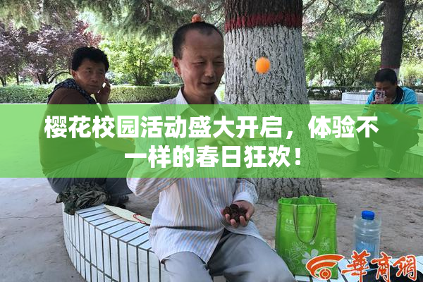 樱花校园活动盛大开启，体验不一样的春日狂欢！