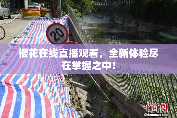樱花在线直播观看，全新体验尽在掌握之中！