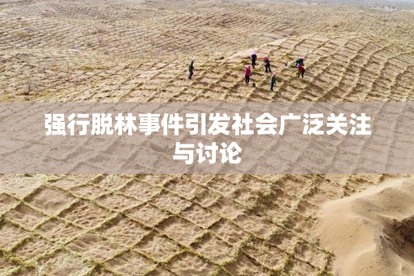 强行脱林事件引发社会广泛关注与讨论