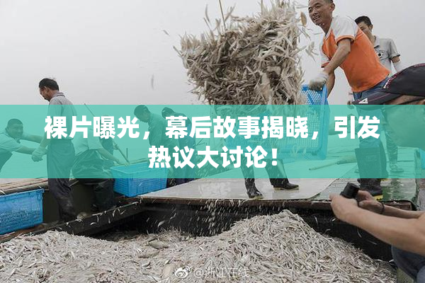 裸片曝光，幕后故事揭晓，引发热议大讨论！