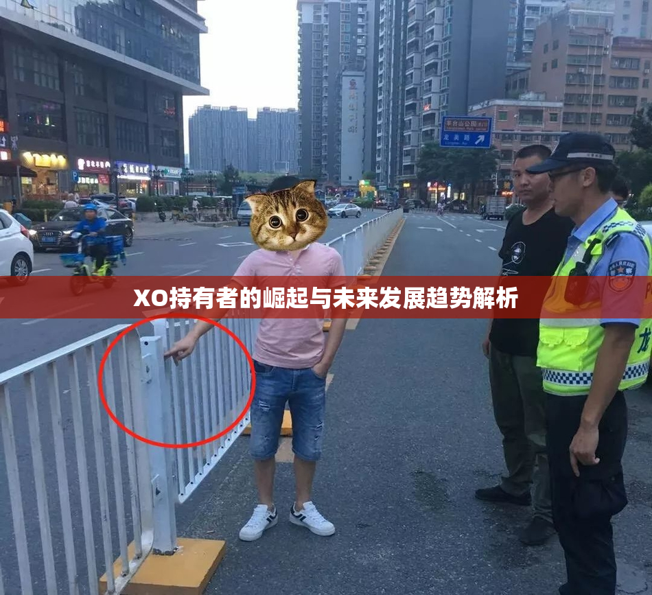 XO持有者的崛起与未来发展趋势解析