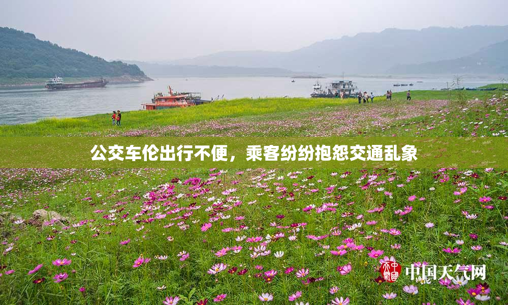 公交车伦出行不便，乘客纷纷抱怨交通乱象