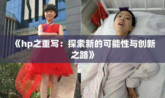 《hp之重写：探索新的可能性与创新之路》