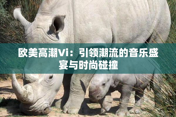 欧美高潮Vi：引领潮流的音乐盛宴与时尚碰撞
