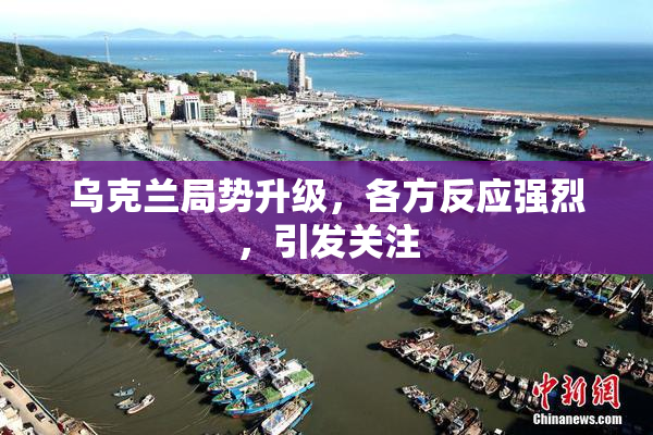 乌克兰局势升级，各方反应强烈，引发关注