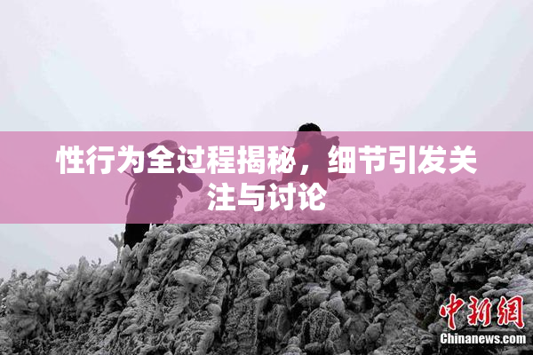 性行为全过程揭秘，细节引发关注与讨论