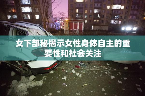 女下部秘揭示女性身体自主的重要性和社会关注