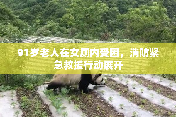 91岁老人在女厕内受困，消防紧急救援行动展开