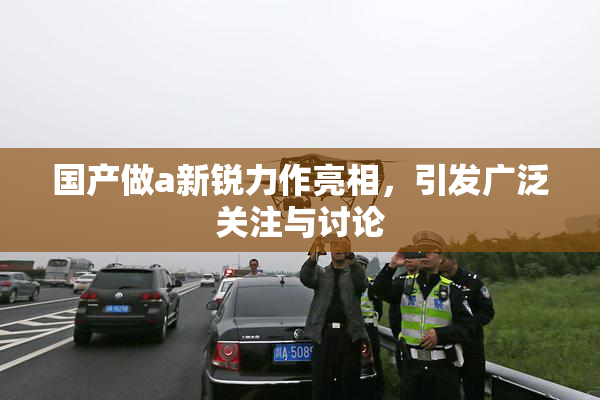 国产做a新锐力作亮相，引发广泛关注与讨论