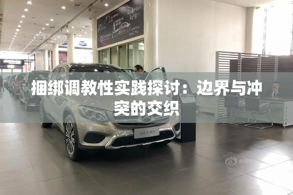 捆绑调教性实践探讨：边界与冲突的交织