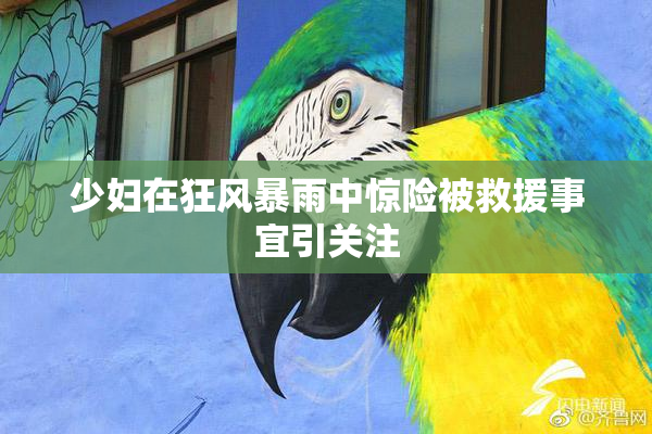 少妇在狂风暴雨中惊险被救援事宜引关注