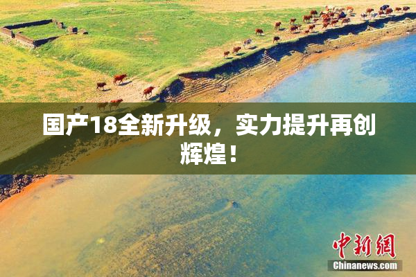 国产18全新升级，实力提升再创辉煌！