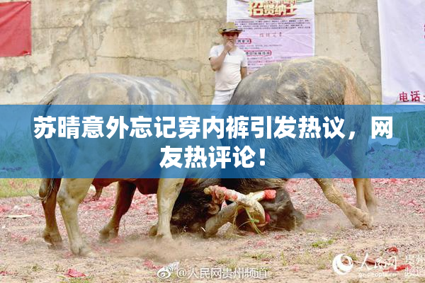 苏晴意外忘记穿内裤引发热议，网友热评论！