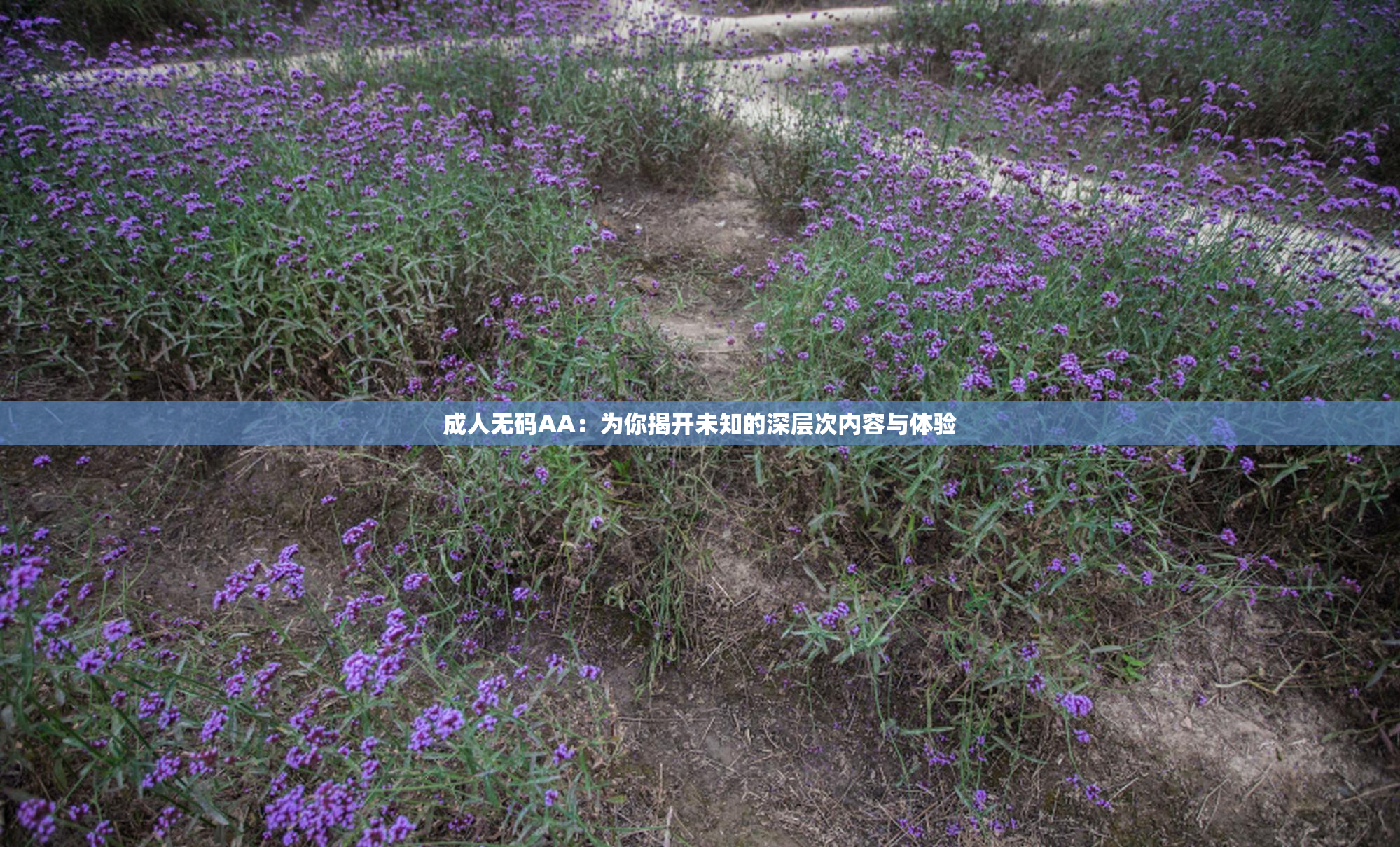 成人无码AA：为你揭开未知的深层次内容与体验