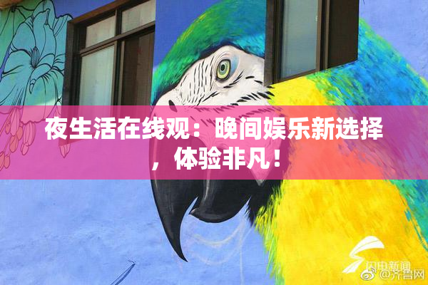 夜生活在线观：晚间娱乐新选择，体验非凡！