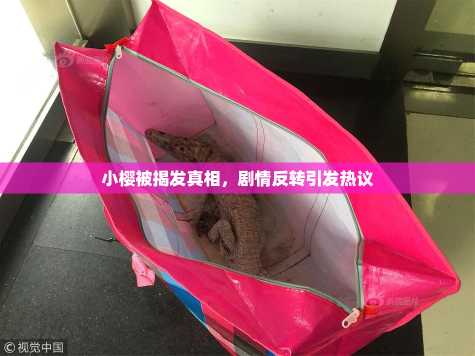 小樱被揭发真相，剧情反转引发热议