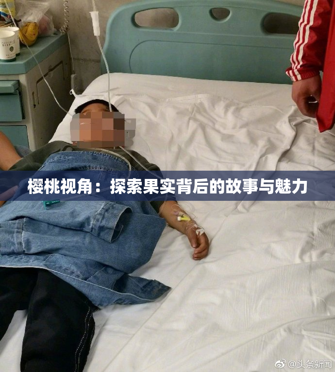 樱桃视角：探索果实背后的故事与魅力