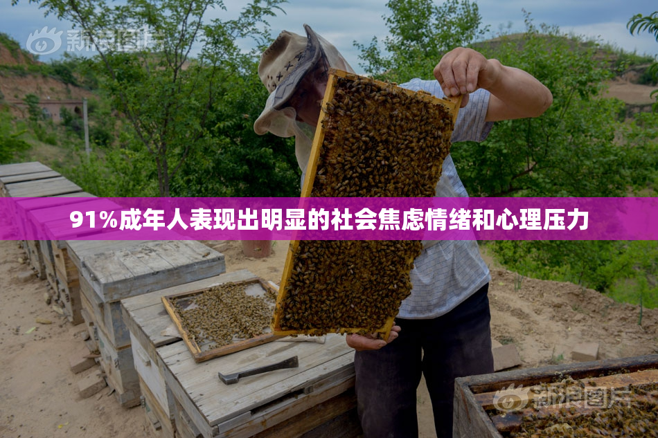 91%成年人表现出明显的社会焦虑情绪和心理压力