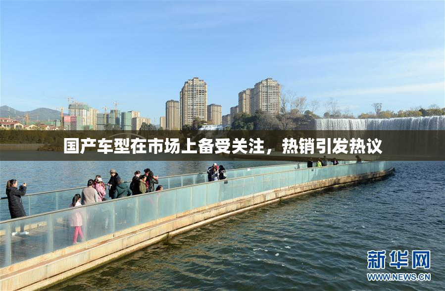 国产车型在市场上备受关注，热销引发热议