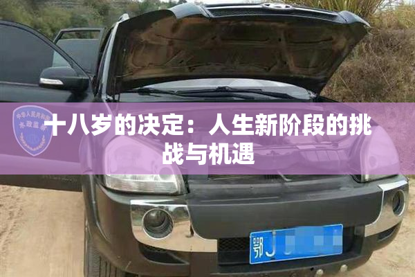 十八岁的决定：人生新阶段的挑战与机遇