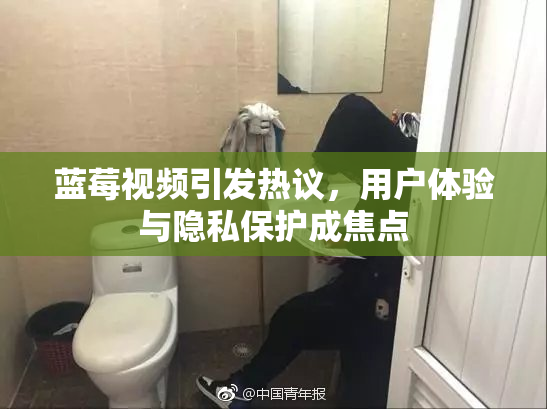 蓝莓视频引发热议，用户体验与隐私保护成焦点