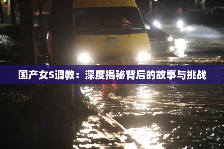 国产女S调教：深度揭秘背后的故事与挑战