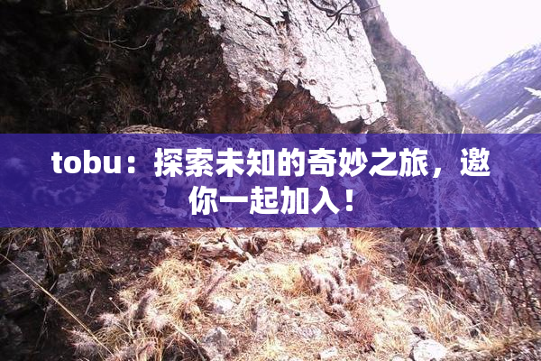 tobu：探索未知的奇妙之旅，邀你一起加入！