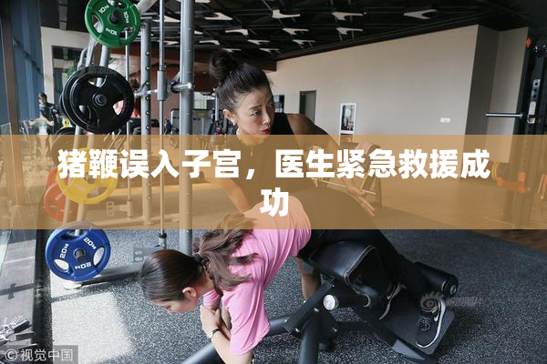 猪鞭误入子宫，医生紧急救援成功