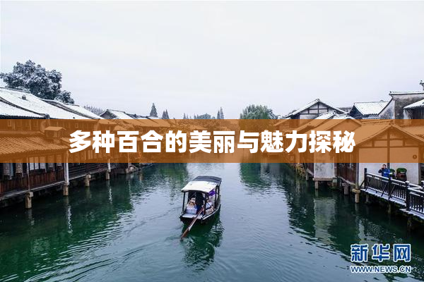 多种百合的美丽与魅力探秘