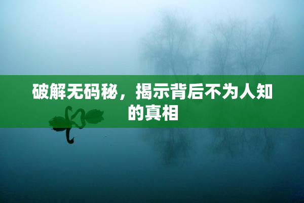 破解无码秘，揭示背后不为人知的真相