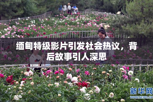 缅甸特级影片引发社会热议，背后故事引人深思