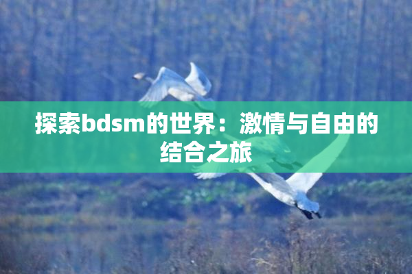 探索bdsm的世界：激情与自由的结合之旅