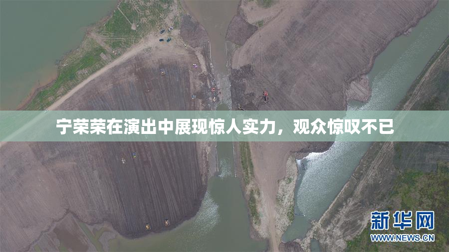 宁荣荣在演出中展现惊人实力，观众惊叹不已