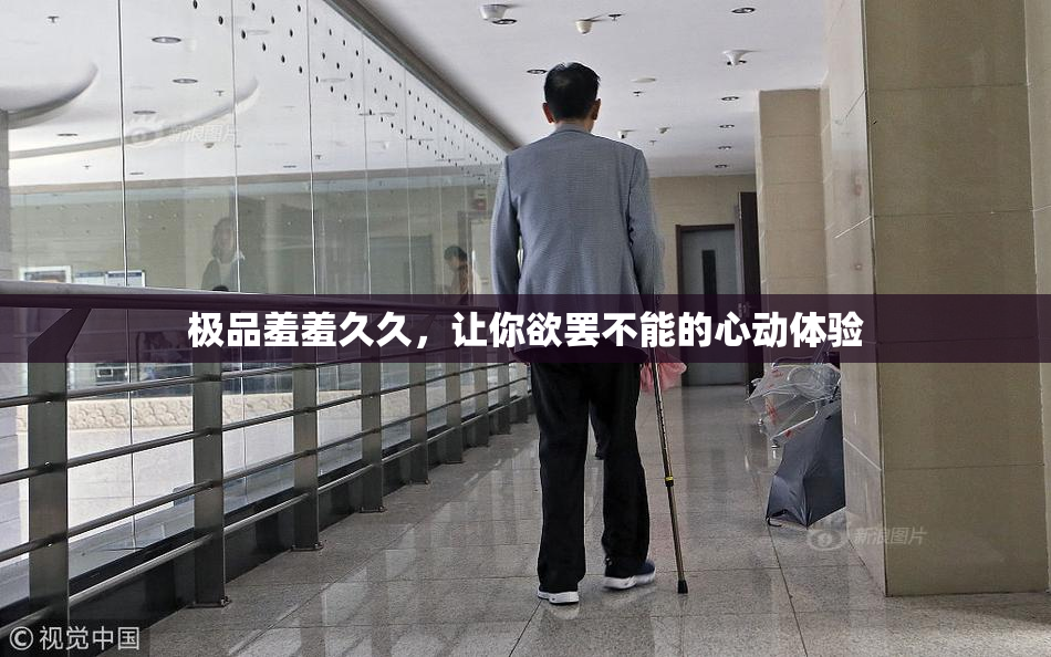极品羞羞久久，让你欲罢不能的心动体验