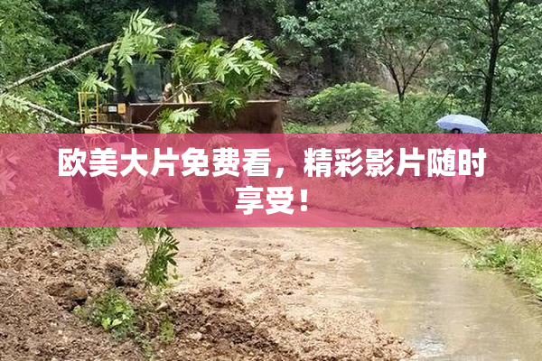 欧美大片免费看，精彩影片随时享受！