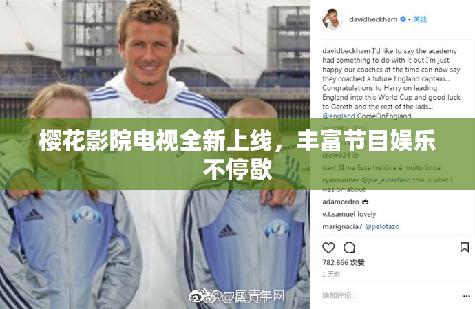 樱花影院电视全新上线，丰富节目娱乐不停歇