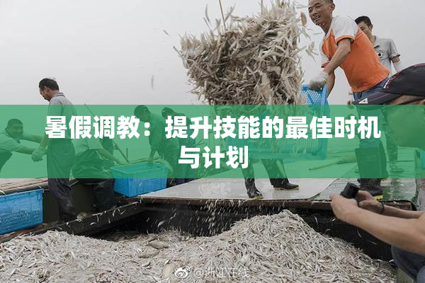 暑假调教：提升技能的最佳时机与计划