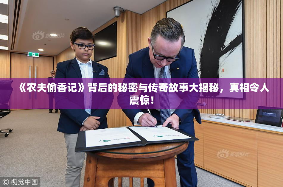 《农夫偷香记》背后的秘密与传奇故事大揭秘，真相令人震惊！