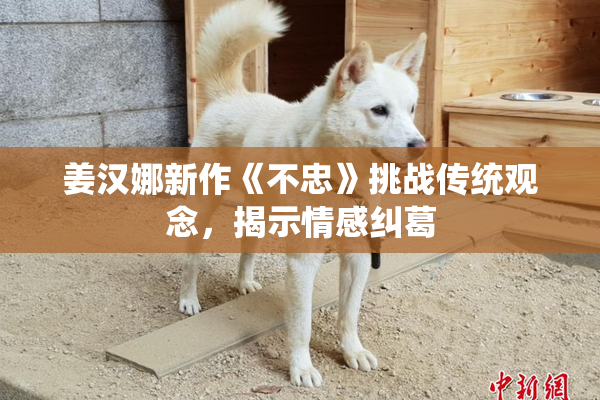 姜汉娜新作《不忠》挑战传统观念，揭示情感纠葛