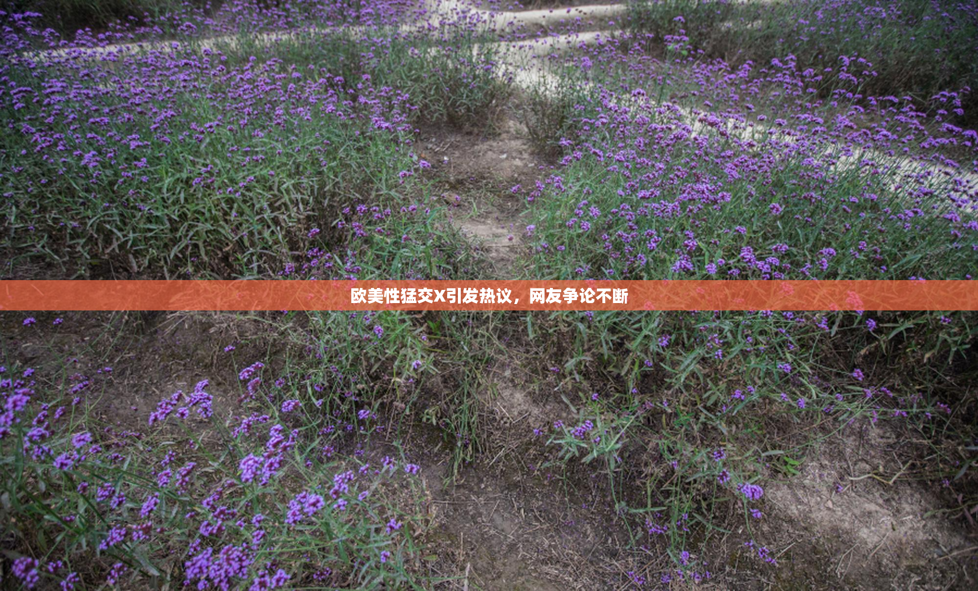 欧美性猛交X引发热议，网友争论不断