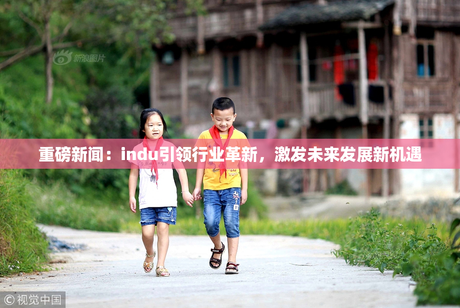 重磅新闻：indu引领行业革新，激发未来发展新机遇