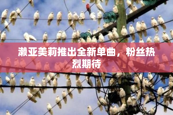 濑亚美莉推出全新单曲，粉丝热烈期待