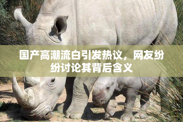 国产高潮流白引发热议，网友纷纷讨论其背后含义