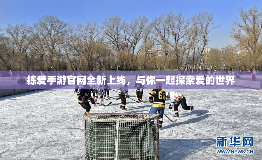 拣爱手游官网全新上线，与你一起探索爱的世界