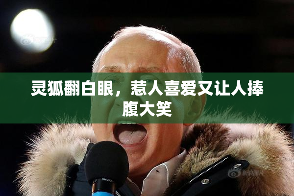灵狐翻白眼，惹人喜爱又让人捧腹大笑