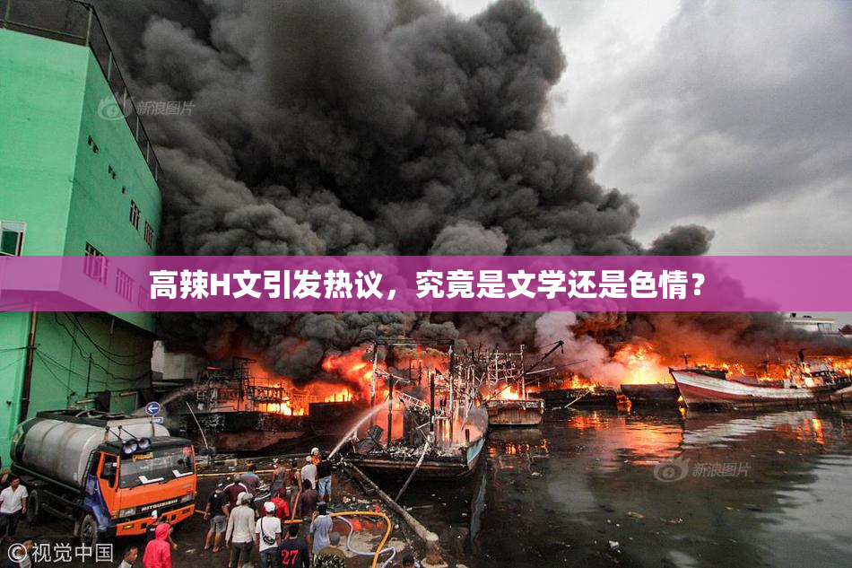 高辣H文引发热议，究竟是文学还是色情？