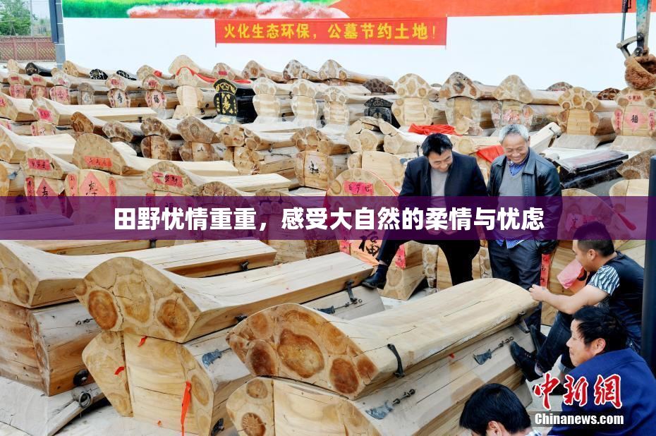 田野忧情重重，感受大自然的柔情与忧虑