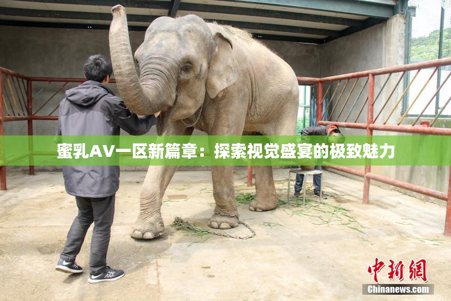 蜜乳AV一区新篇章：探索视觉盛宴的极致魅力