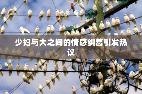 少妇与大之间的情感纠葛引发热议