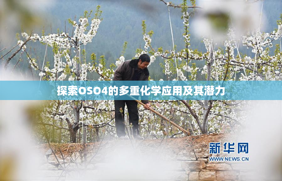 探索OSO4的多重化学应用及其潜力
